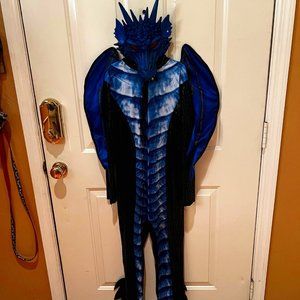 Dragon costume minus tail